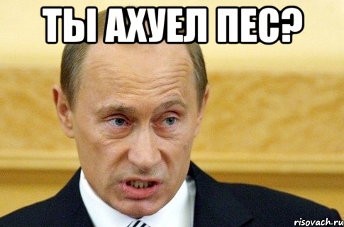 ты ахуел пес? , Мем путин