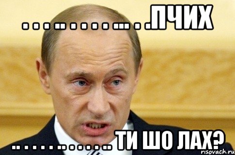 . . . .. . . . . ... . .Пчих .. . . . . .. . . . . .. ти шо лах?, Мем путин