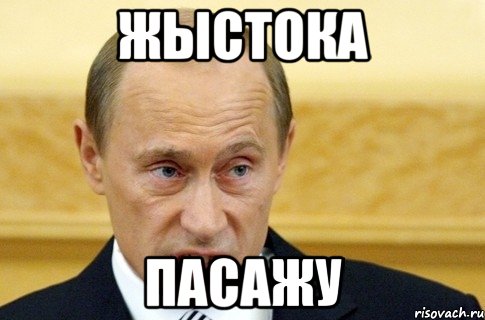 жыстока пасажу, Мем путин