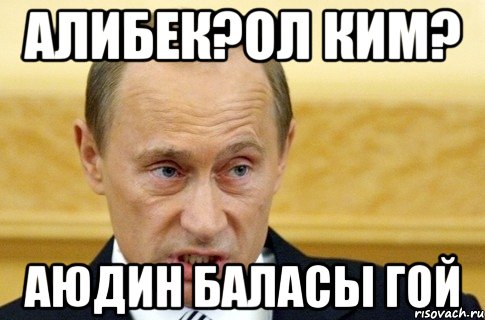 Алибек?Ол ким? Аюдин баласы гой, Мем путин