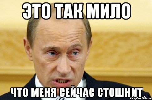 ЭТО ТАК МИЛО ЧТО МЕНЯ СЕЙЧАС СТОШНИТ, Мем путин