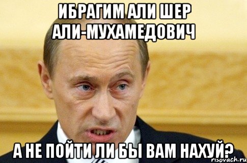 Ибрагим Али Шер Али-Мухамедович А не пойти ли бы вам нахуй?, Мем путин