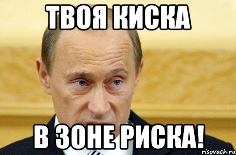 Твоя киска В зоне риска!, Мем путин