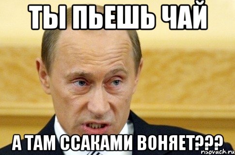 Ты пьешь чай а там ссаками воняет???, Мем путин