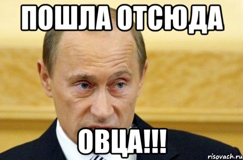 пошла отсюда Овца!!!, Мем путин