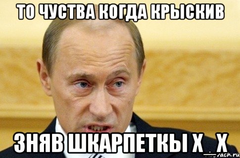 ТО ЧУСТВА КОГДА КРЫСКИВ ЗНЯВ ШКАРПЕТКЫ Х_Х, Мем путин