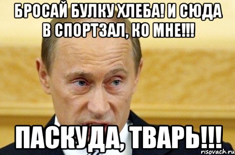 Бросай булку хлеба! И сюда в спортзал, ко мне!!! ПАСКУДА, ТВАРЬ!!!, Мем путин