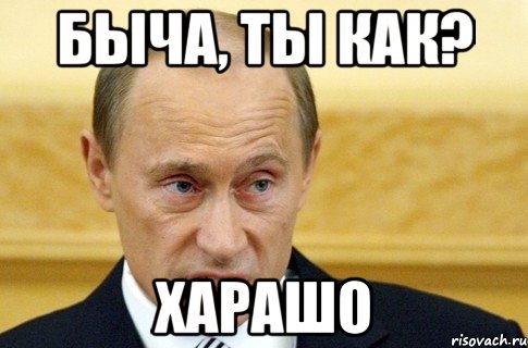 Быча, ты как? ХАРАШО, Мем путин