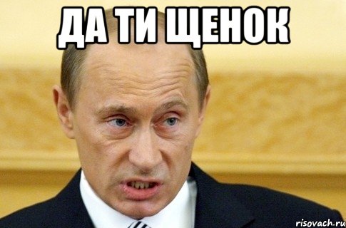 Да ти щенок , Мем путин