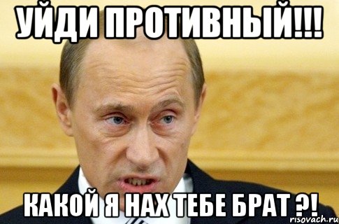 уйди противный!!! какой я нах тебе брат ?!, Мем путин