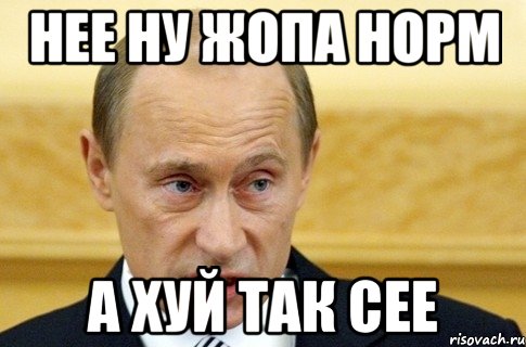 Нее ну жопа норм А хуй так сее, Мем путин