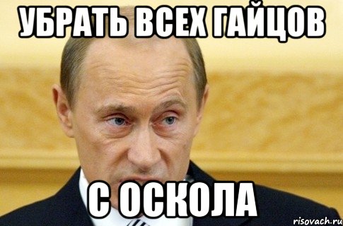 Убрать всех гайцов с оскола, Мем путин