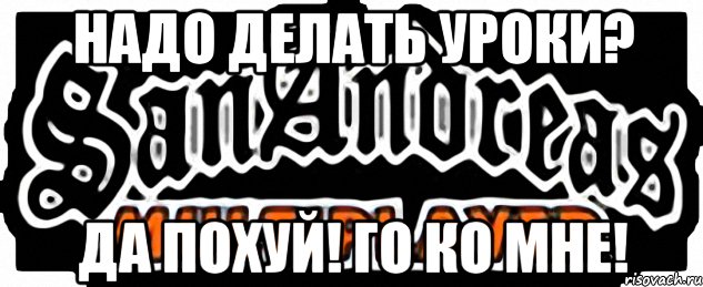 Надо делать уроки? Да похуй! Го ко мне!, Мем SAMP