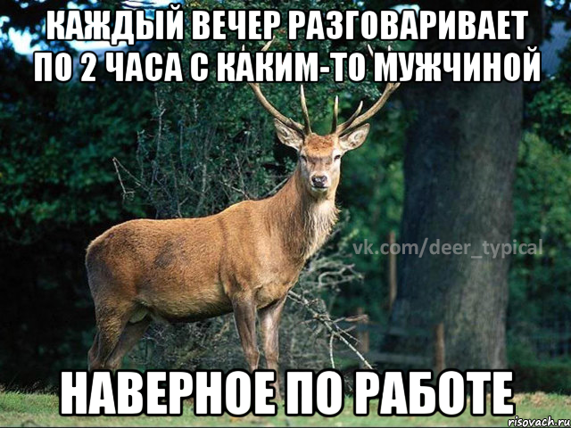 каждый вечер разговаривает по 2 часа с каким-то мужчиной наверное по работе, Мем Паблик Типичный олень