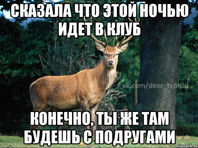 сказала что этой ночью идет в клуб конечно, ты же там будешь с подругами, Мем Паблик Типичный олень
