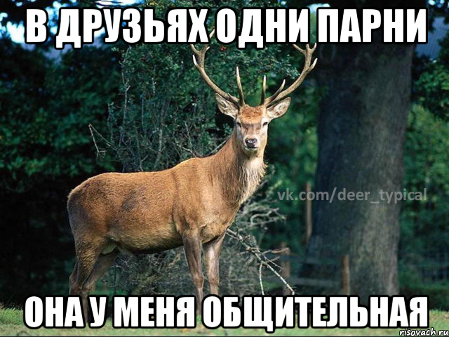 в друзьях одни парни она у меня общительная