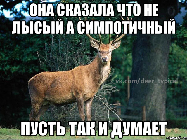 она сказала что не лысый а симпотичный пусть так и думает