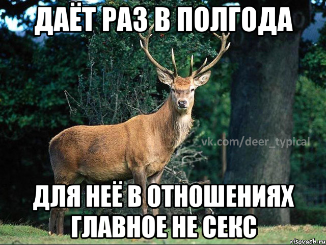 ДАЁТ РАЗ В ПОЛГОДА ДЛЯ НЕЁ В ОТНОШЕНИЯХ ГЛАВНОЕ НЕ СЕКС, Мем Паблик Типичный олень