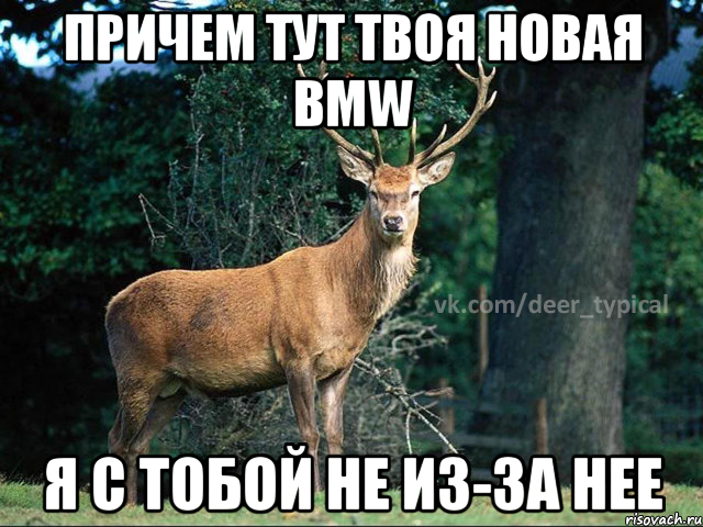 причем тут твоя новая BMW я с тобой не из-за нее, Мем Паблик Типичный олень