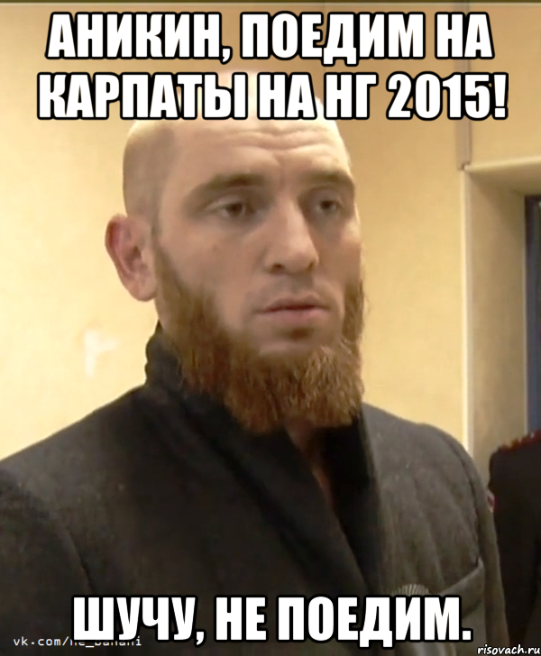 Аникин, поедим на Карпаты на НГ 2015! Шучу, не поедим., Мем Шучу