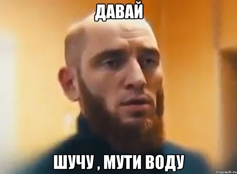 Давай Шучу , мути воду, Мем Шучу