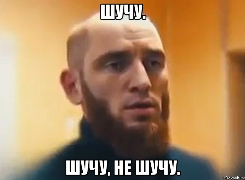 Шучу. Шучу, не шучу.