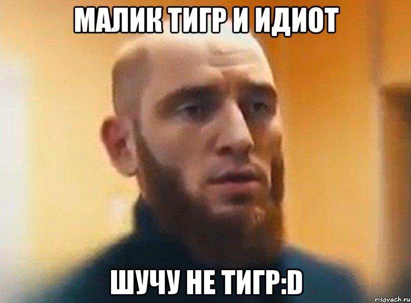 Малик тигр и идиот Шучу не тигр:D, Мем Шучу