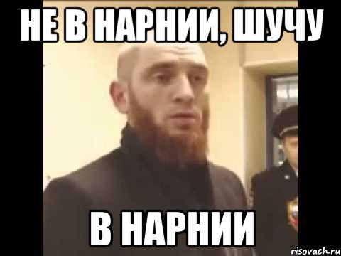 Не в Нарнии, шучу В Нарнии, Мем Шучу