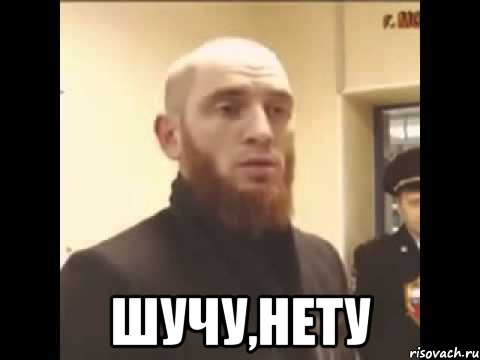  шучу,нету, Мем Шучу