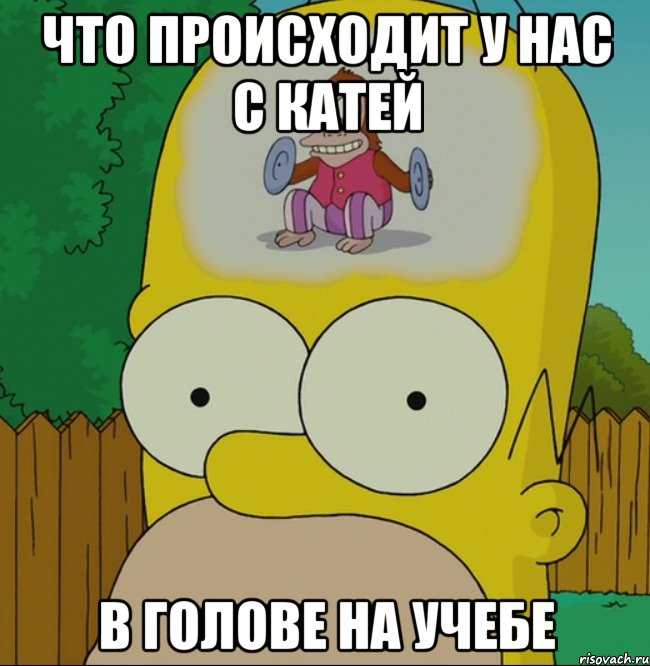 Что происходит у нас С Катей В голове на учебе, Мем  Гомер Симпсон