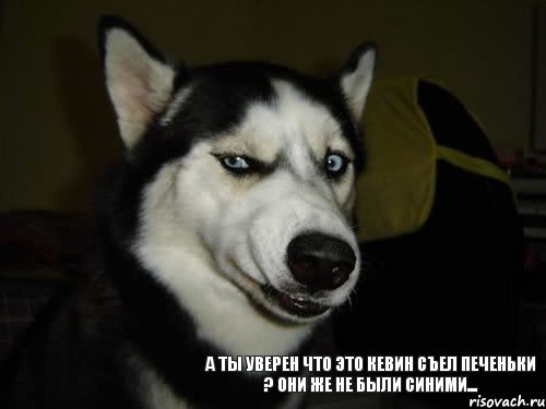 а ты уверен что это Кевин съел печеньки ? Они же не были синими..., Комикс  Собака подозревака