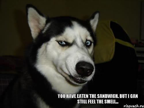 You have eaten the sandwich. But I can still feel the smell..., Комикс  Собака подозревака