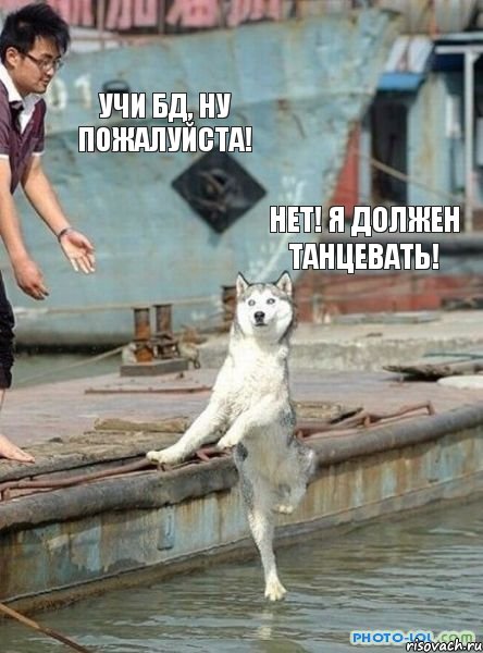 УЧИ БД, НУ ПОЖАЛУЙСТА! НЕТ! Я ДОЛЖЕН ТАНЦЕВАТЬ!