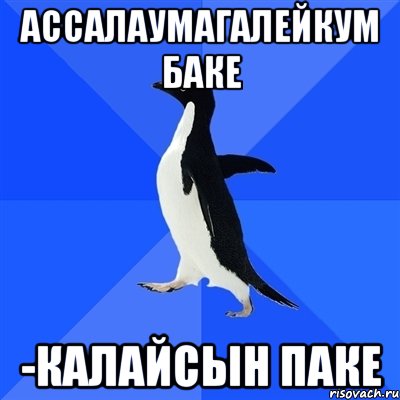 ассалаумагалейкум баке -калайсын паке, Мем  Социально-неуклюжий пингвин