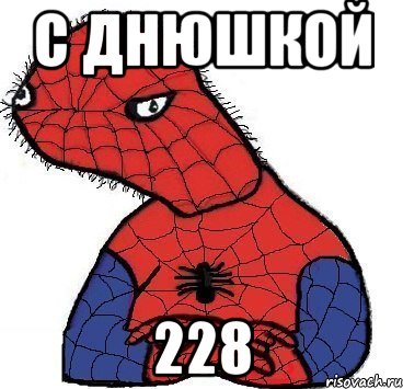 С днюшкой 228