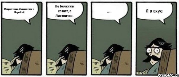 Остролистая,Львиносвет и Воробей Не Белкины котята,а Листвички. .... Я в ахуе., Комикс Staredad