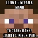 если ты играл в майн то ставь лайк ! даже если не играл, Мем стив