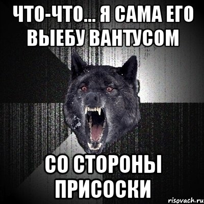 ЧТО-ЧТО... Я САМА ЕГО ВЫЕБУ ВАНТУСОМ СО СТОРОНЫ ПРИСОСКИ, Мем Сумасшедший волк