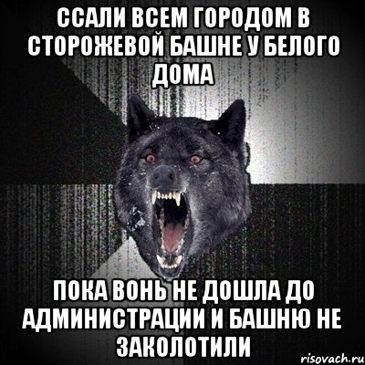 ссали всем городом в сторожевой башне у Белого дома пока вонь не дошла до администрации и башню не заколотили, Мем Сумасшедший волк