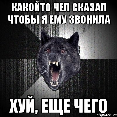 Какойто чел сказал чтобы я ему звонила Хуй, еще чего, Мем Сумасшедший волк