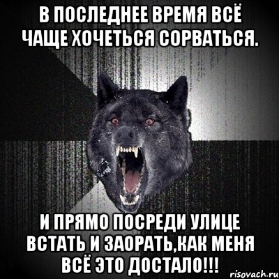 В последнее время всё чаще хочеться сорваться. И прямо посреди улице встать и заорать,как меня всё это ДОСТАЛО!!!, Мем Сумасшедший волк