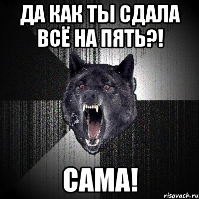 Да как ты сдала всё на пять?! Сама!, Мем Сумасшедший волк