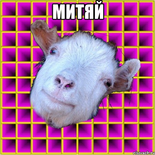 МИТЯЙ 