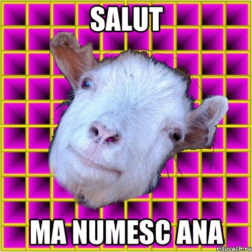 Salut Ma numesc ana