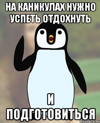 на каникулах нужно успеть отдохнуть и подготовиться, Мем Типичный олимпиадник