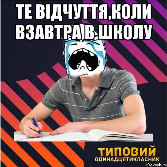 Те відчуття,коли взавтра в школу , Мем Типовий одинадцятикласник