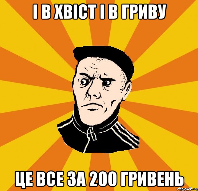 і в хвіст і в гриву це все за 200 гривень, Мем Типовий Титушка