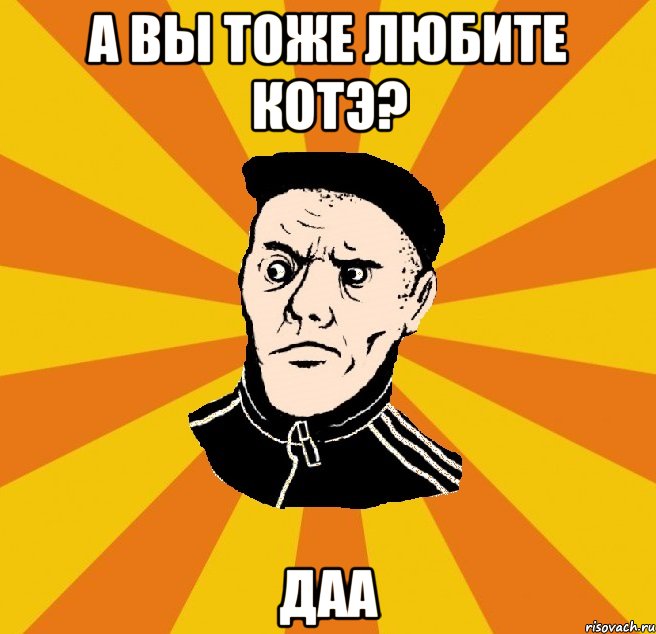 а вы тоже любите котэ? даа