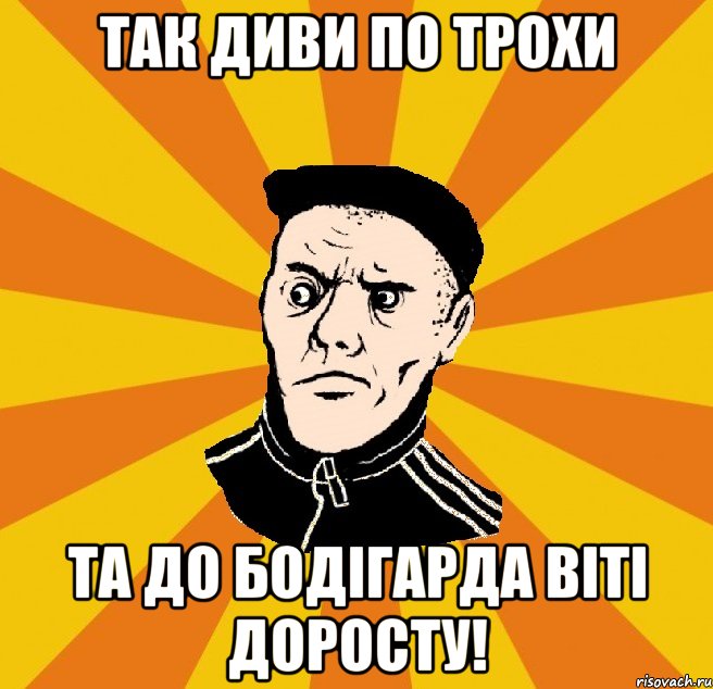 Так диви по трохи та до бодігарда Віті доросту!, Мем Типовий Титушка