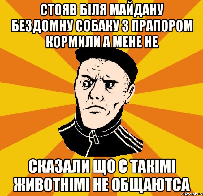 стояв біля майдану бездомну собаку з прапором кормили а мене не сказали що с такімі животнімі не общаютса